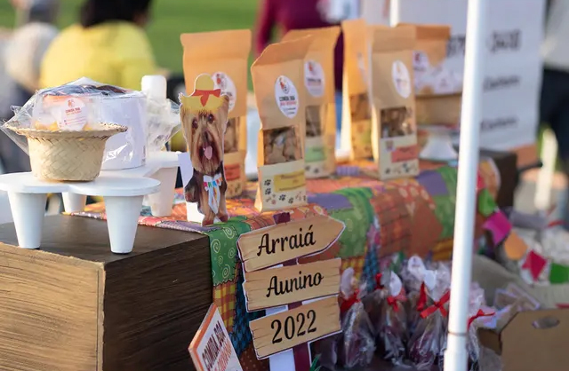 Direção criativa Festa Aunina